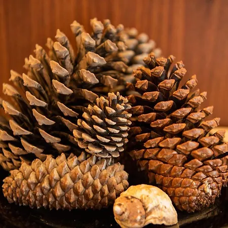 Life Апартамент *