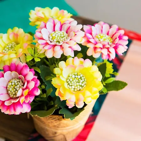 Life Апартамент Созопол