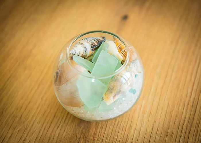 Life Apartman Szozopol