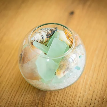 Life Διαμέρισμα Σωζόπολη