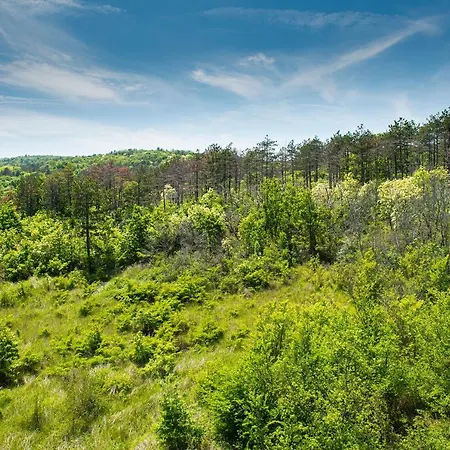 Διαμέρισμα Life Σωζόπολη
