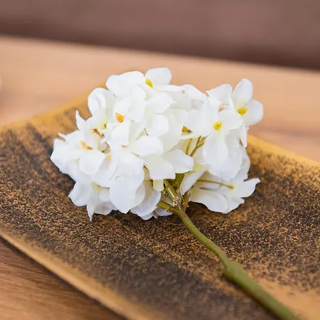 Life Διαμέρισμα *