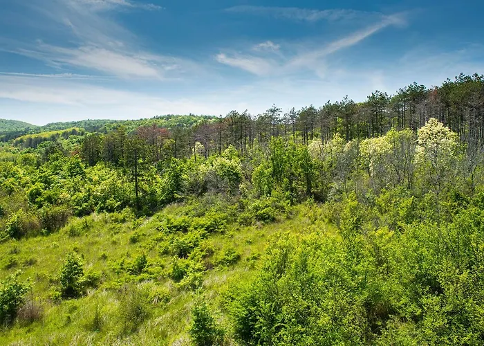 Apartman Life Szozopol