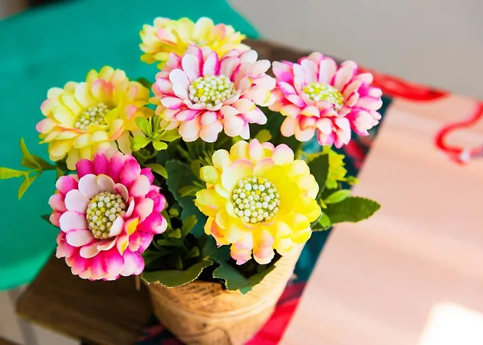 Life Apartman Szozopol